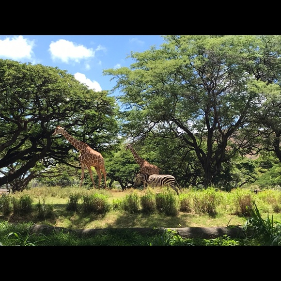 Meet your Posher, Kristen - Picture 2 of 2